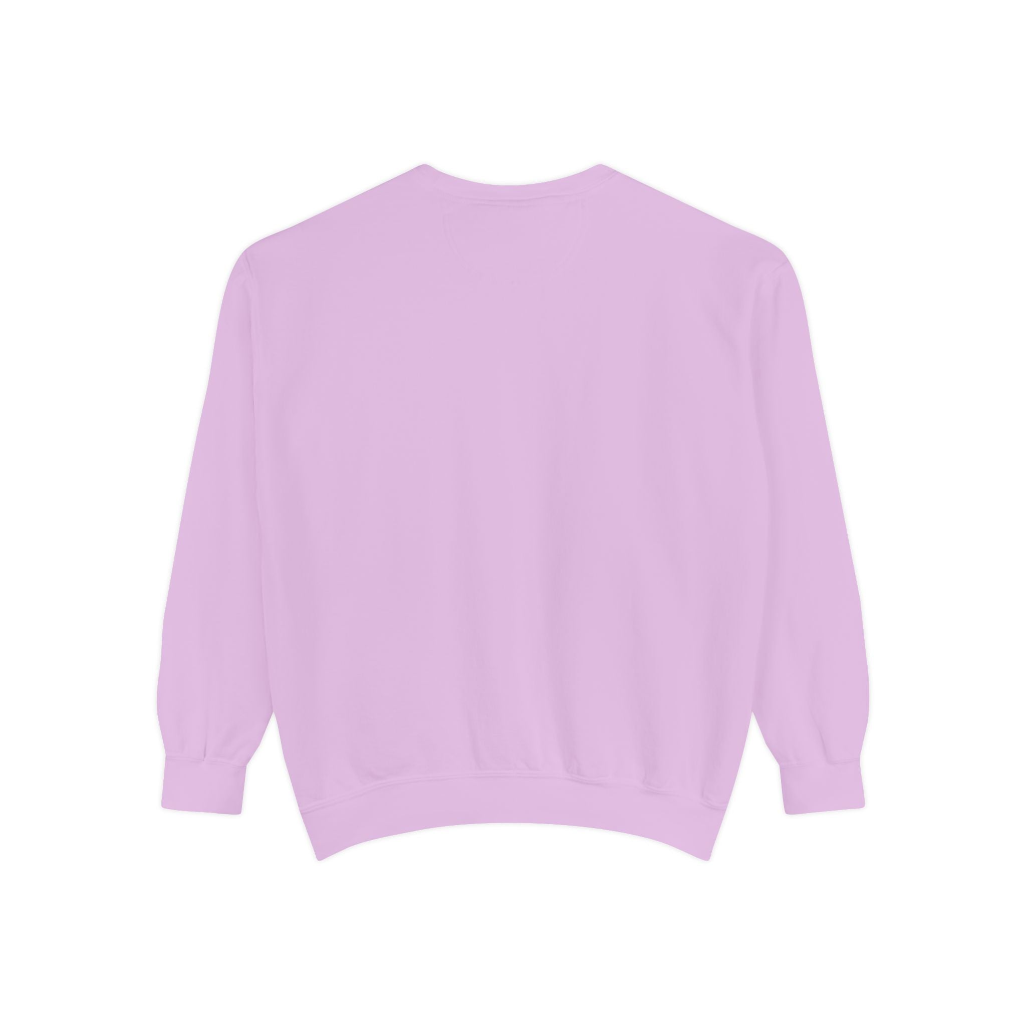 Cute Pony Sweatshirt - Garment-Dyed Vintage Comfort