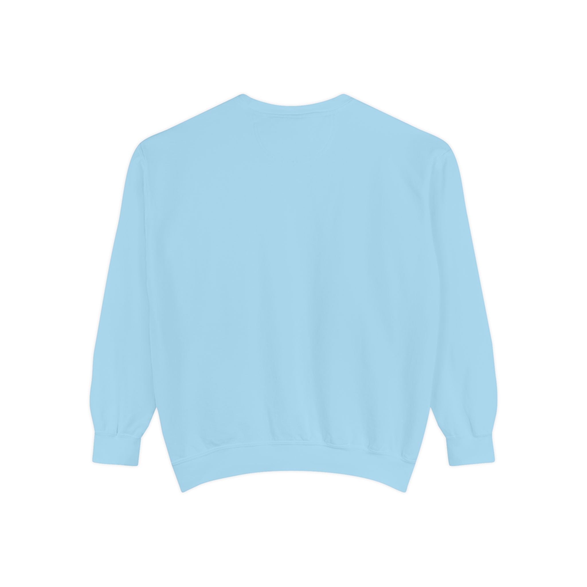 Cute Pony Sweatshirt - Garment-Dyed Vintage Comfort