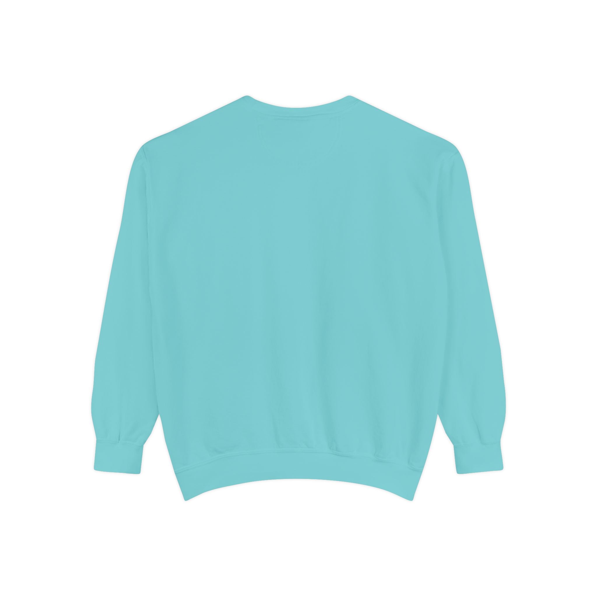 Cute Pony Sweatshirt - Garment-Dyed Vintage Comfort