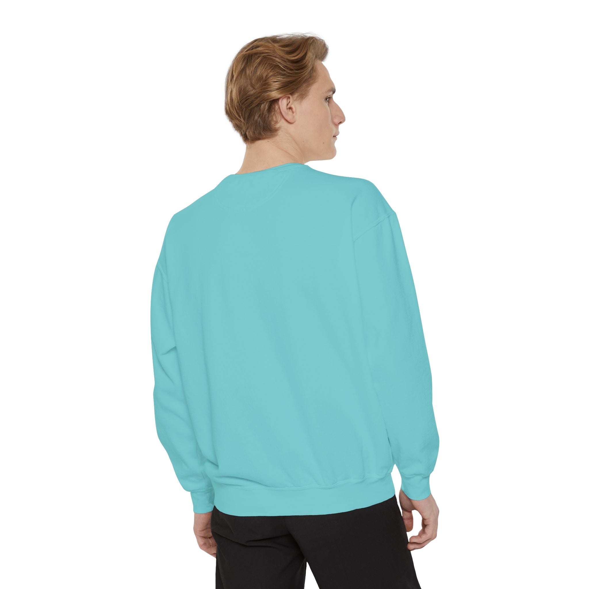 Cute Pony Sweatshirt - Garment-Dyed Vintage Comfort